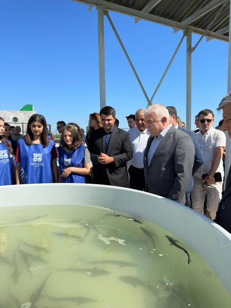 В Куру выпущены мальки рыб