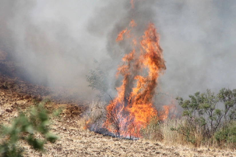Wildfire breaks out in Antalya