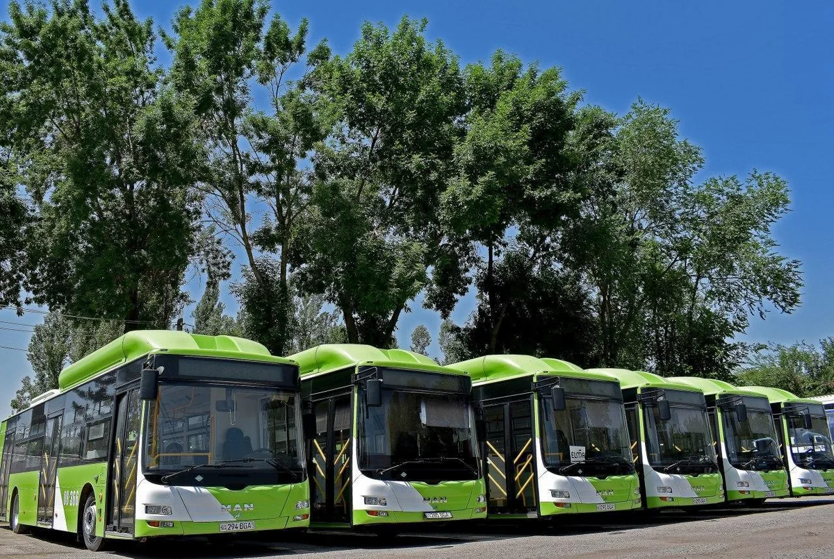 COP29 üçün avtobus parkının 50 %-i Yaşıl avtobuslarla təchiz olunub