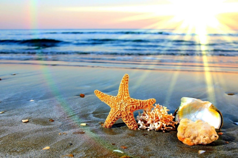 Gələn həftə Azərbaycana yay fəsli daxil olacaq