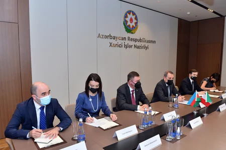 Azərbaycanın XİN başçısı İtaliya Senatının komissiya sədri ilə görüşüb