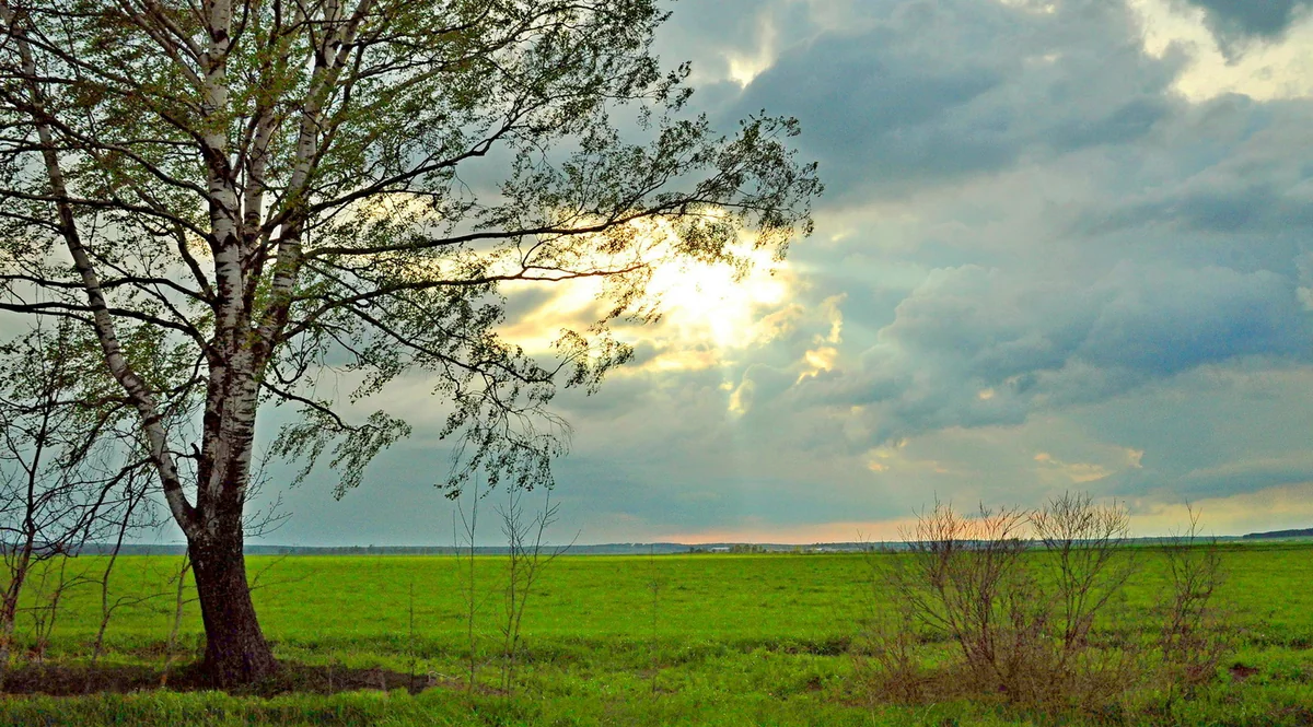 Sabah Bakıda 40 dərəcə isti olacaq