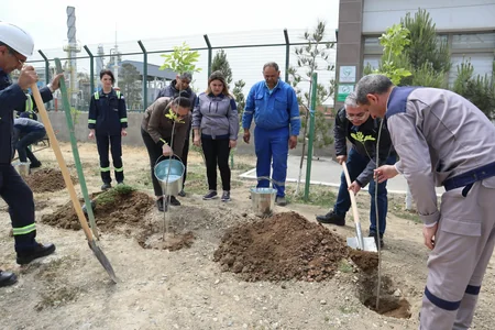 SOCAR “Heydər Əliyev İli” çərçivəsində ağacəkmə aksiyası təşkil edib