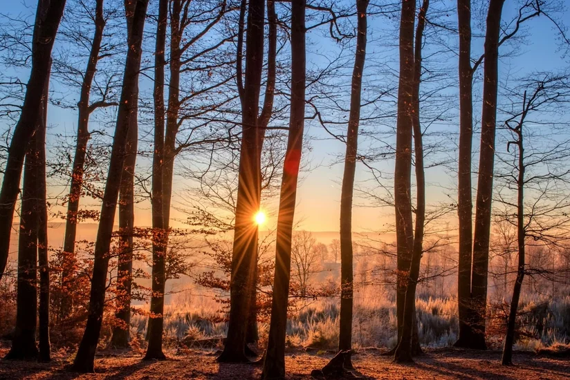 Fevralın son gününə olan hava proqnozu açıqlanıb