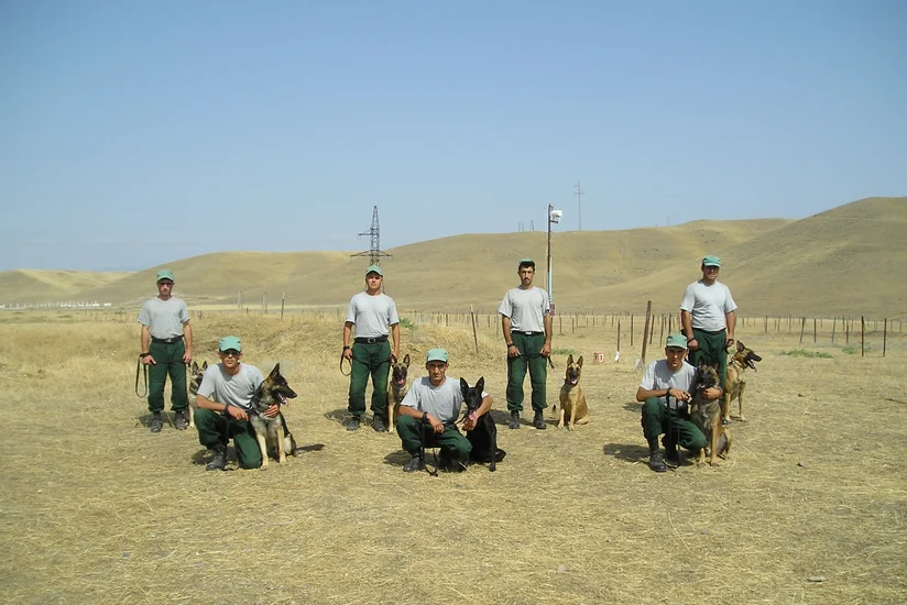 ABŞ Azərbaycana daha 30 minaaxtaran it göndərəcək