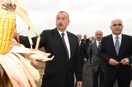 Prezident İlham Əliyev “Qarabağ Taxıl” MMC-nin özəl pilot taxılçılıq təsərrüfatının fəaliyyəti ilə tanış olub