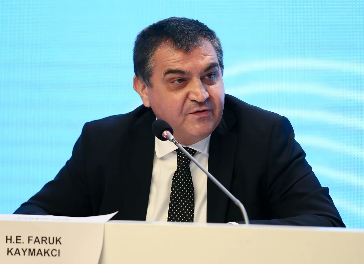 Замглавы МИД: Турция нацелена на полноправное членство в ЕС