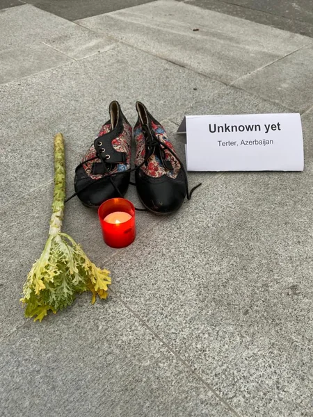 Çexiyadakı soydaşlarımız erməni vandalizminə etiraz ediblər