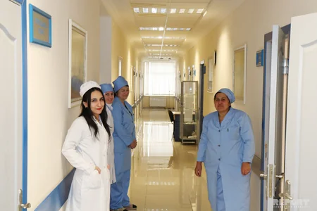 Lerik Rayon Mərkəzi Xəstəxanasına mediatur təşkil olunub - FOTO