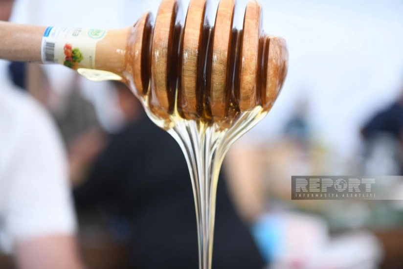 Azerbaijan boosts honey production by nearly 14%