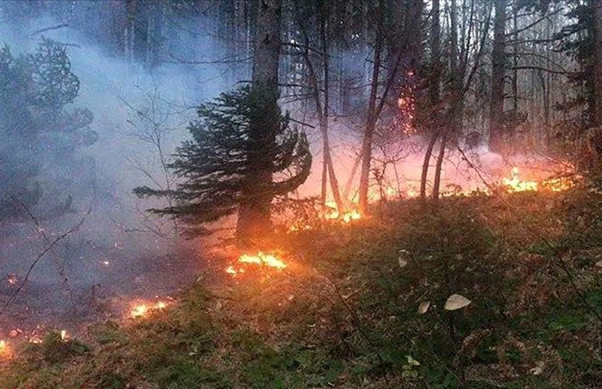 Wildfires engulf forests in multiple Iranian provinces