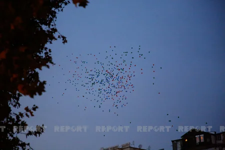 Tbilisidə Azərbaycanın Zəfər Günü aksiyalarla qeyd olunub