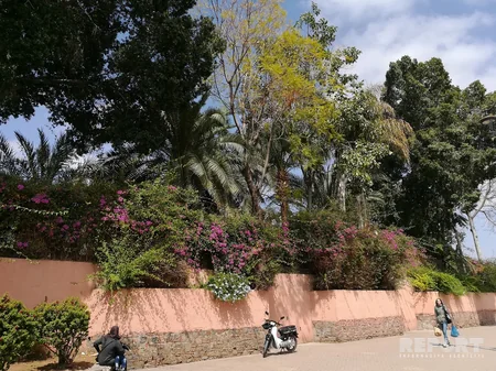 Marrakesh: Red City - PHOTO REPORT