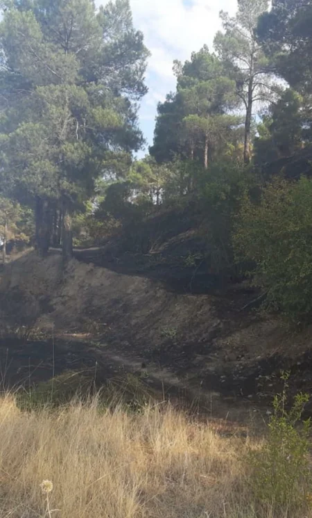 Şabrandakı yanğın söndürülüb