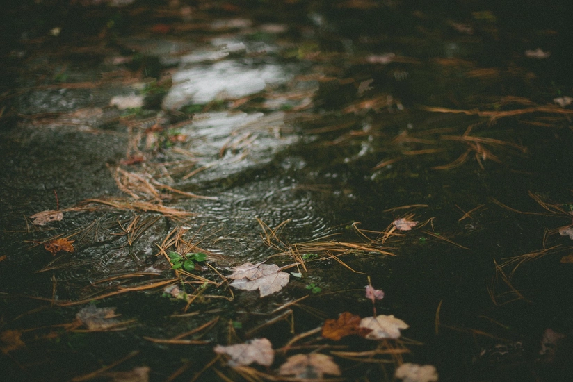 Rain, wind expected tomorrow