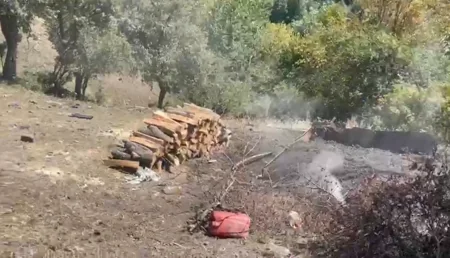 Göygöldə qanunsuz ocaqxanaların fəaliyyəti dayandırılıb