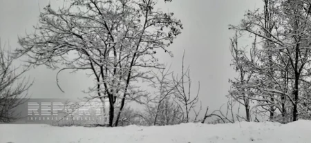 Şuşaya qar yağır, yollar təmizlənir 