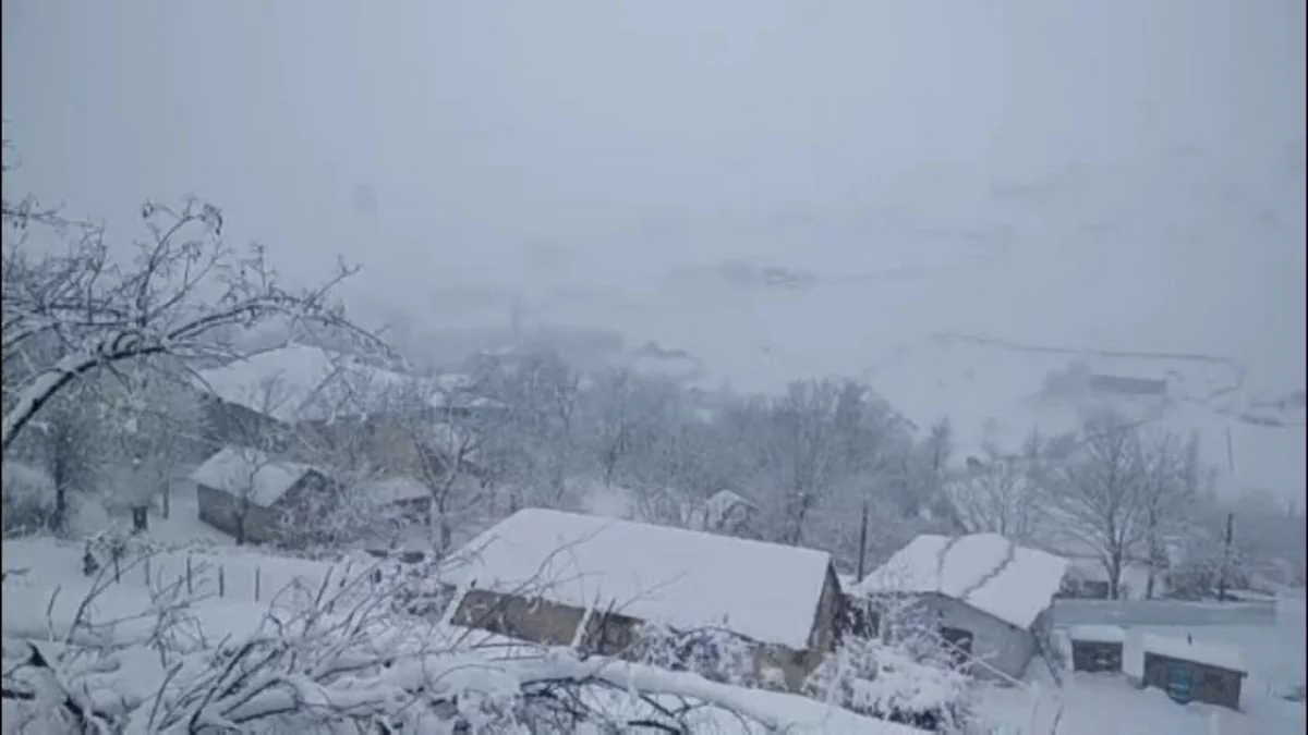 Güclü qar səbəbindən Cəlilabad-Yardımlı yolu bağlanıb, kəndlər işıqsız qalıb