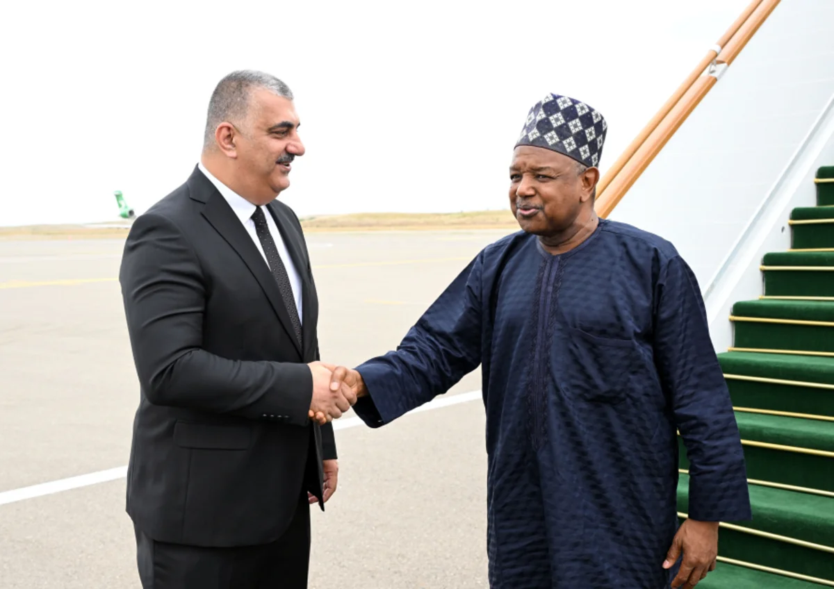 Nigerian minister to attend 17th ECO Summit in Khankandi