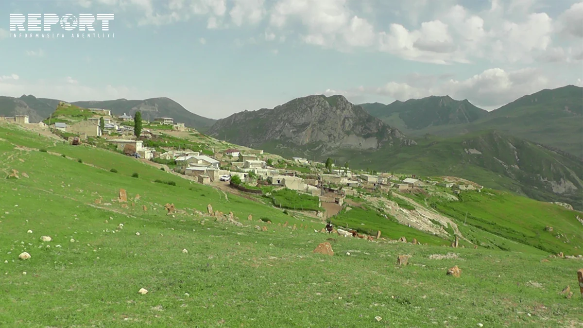 Qubada xəstəlikdən tələf olan mal-qara basdırılmayıb - FOTO - VİDEO