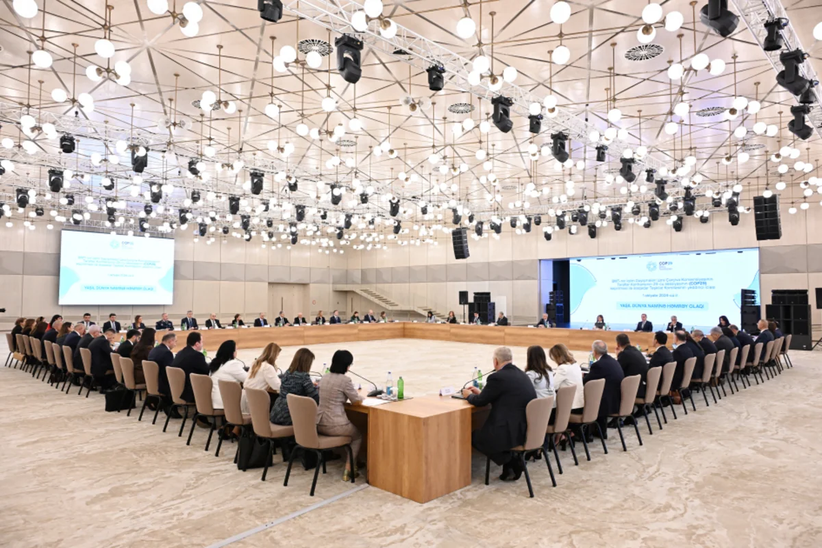 Состоялось седьмое заседание Оргкомитета по COP29
