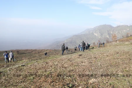 Qəbələnin yanğına məruz qalmış meşə sahəsinə ağac toxumları səpilib