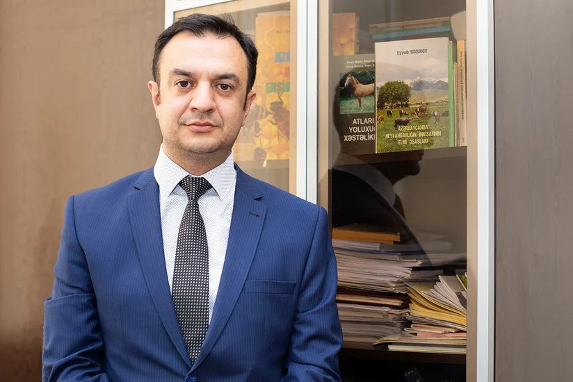 Azərbaycandakı iri və xırda buynuzlu heyvanların sayı açıqlanıb