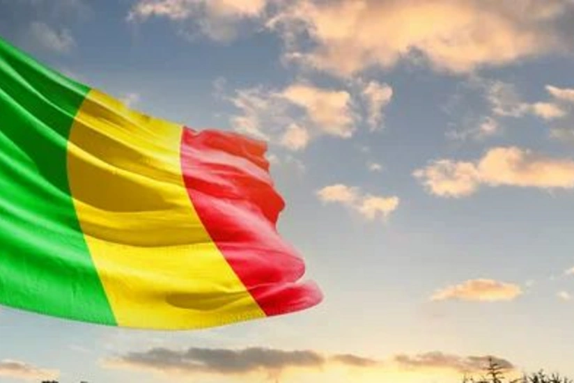 Мали может отказаться от франка КФА в 2024 году