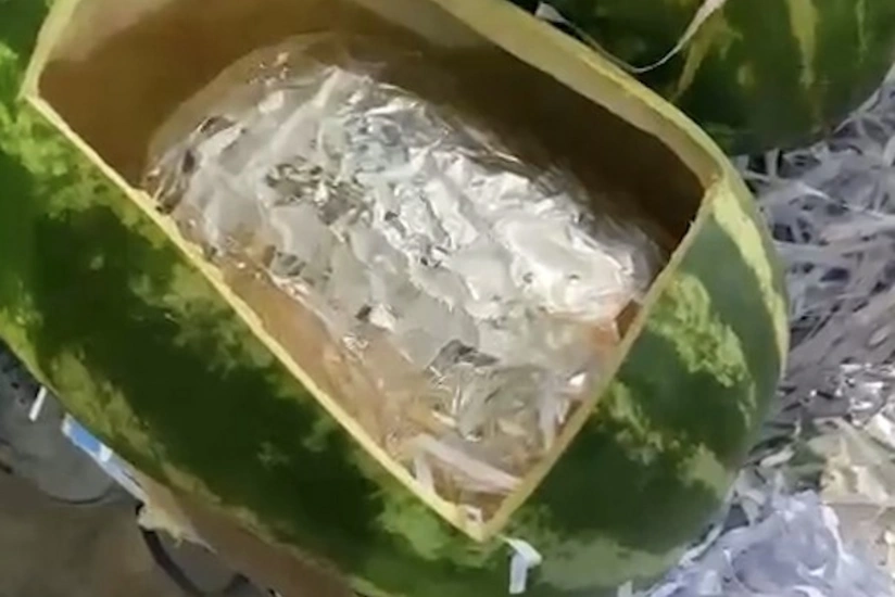 Qarpızın içərisində gizlədilən 63 kiloqramdan artıq narkotik aşkar edilib