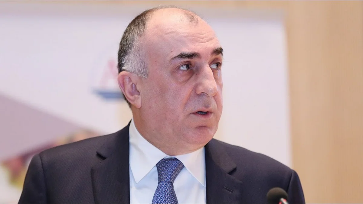 Глава МИД: Армения препятствует активизации процесса урегулирования конфликта