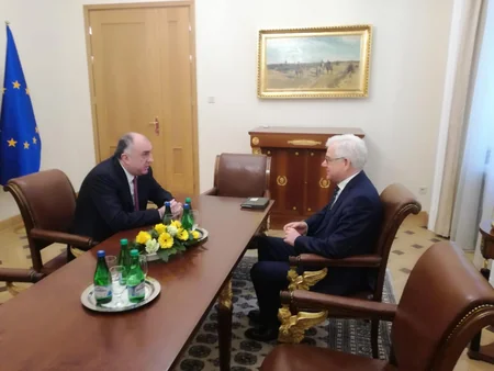 Azerbaijani, Polish FMS discuss projects of energy and transport corridors