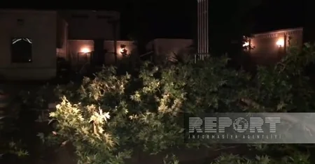 Сильный ветер и ливень вызвали ряд последствий в Гёйчае