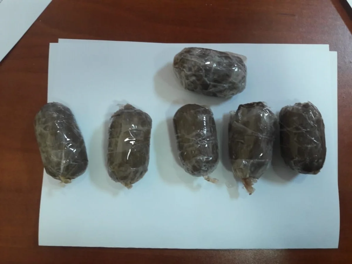İrandan Azərbaycana heroin keçirilməsinin qarşısı alınıb