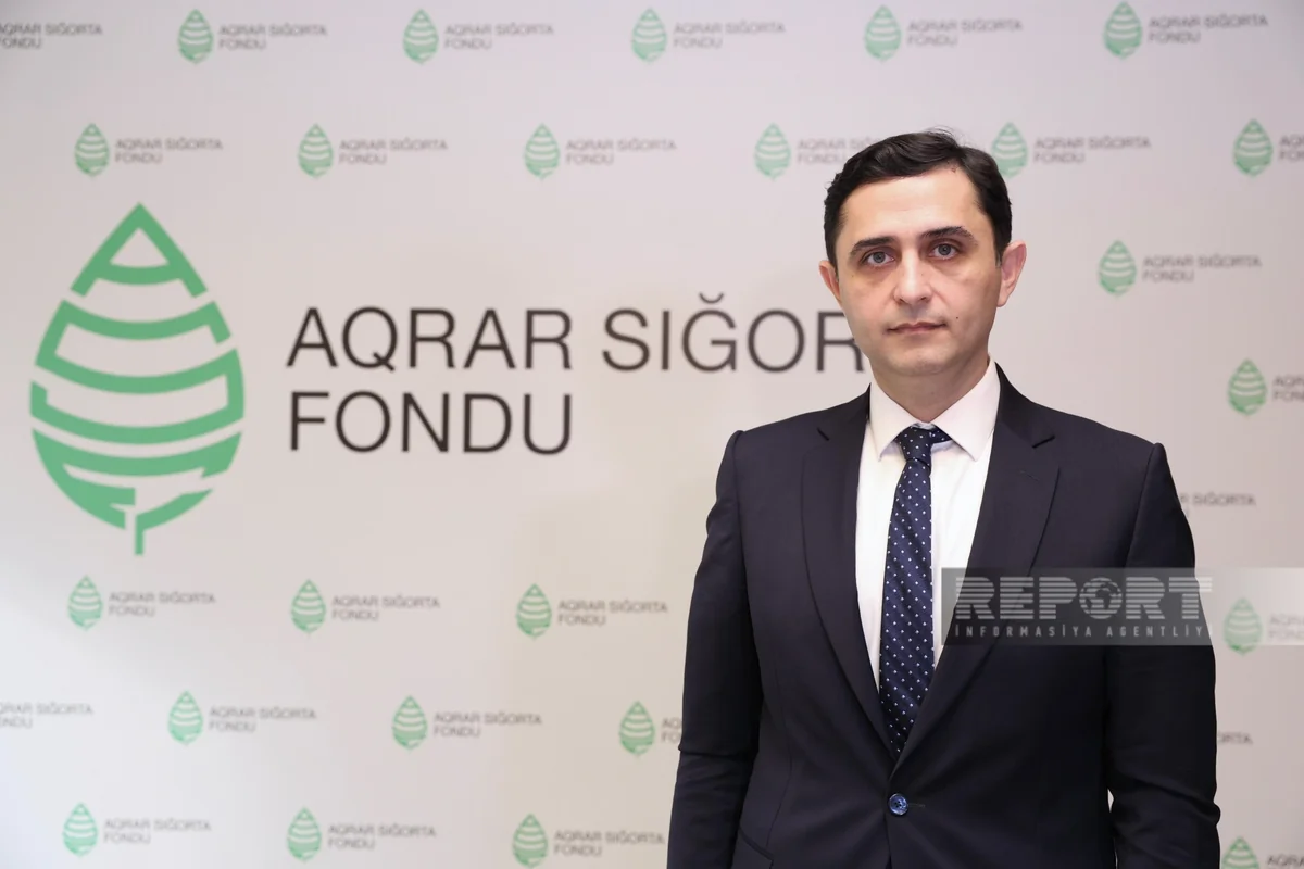 Fond: “Azərbaycanda aqrar sığorta hadisələrinin əsas səbəbi güclü küləkdir”