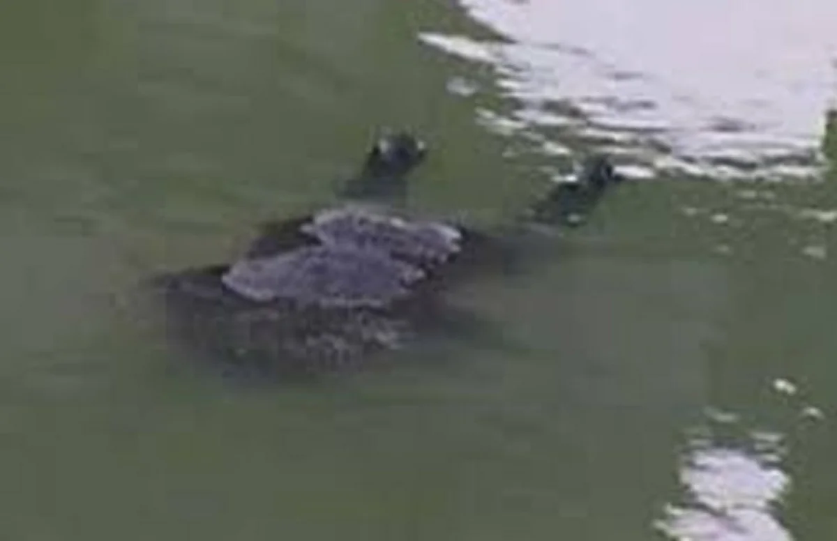 İmişli rayonunda kanala düşən kişinin meyiti çıxarılıb