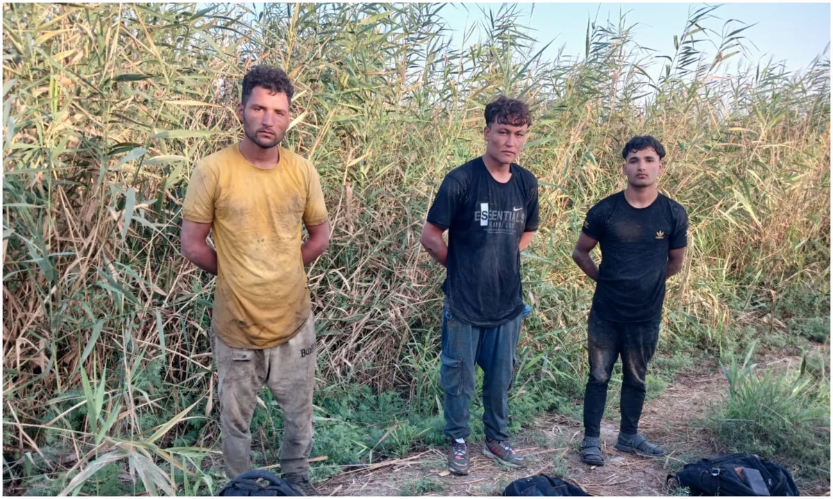 Ötən ay Azərbaycan tərəfindən axtarışda оlan 311 nəfər sərhəddə saxlanılıb