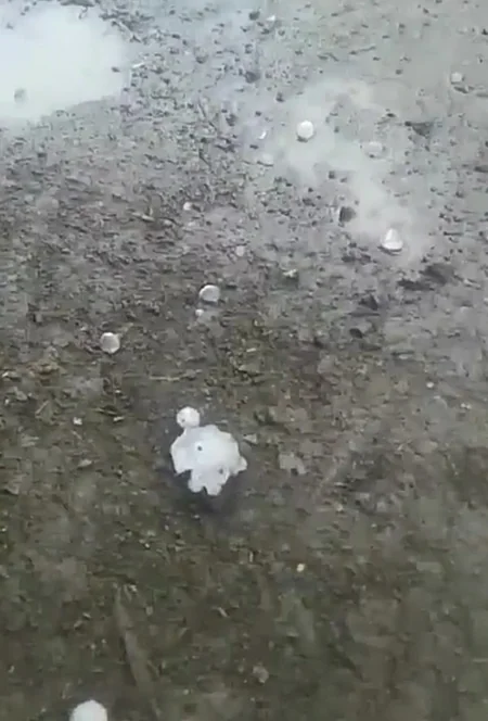 Qubaya yağan dolu bir sıra kəndlərə ziyan vurub - FOTO - VİDEO
