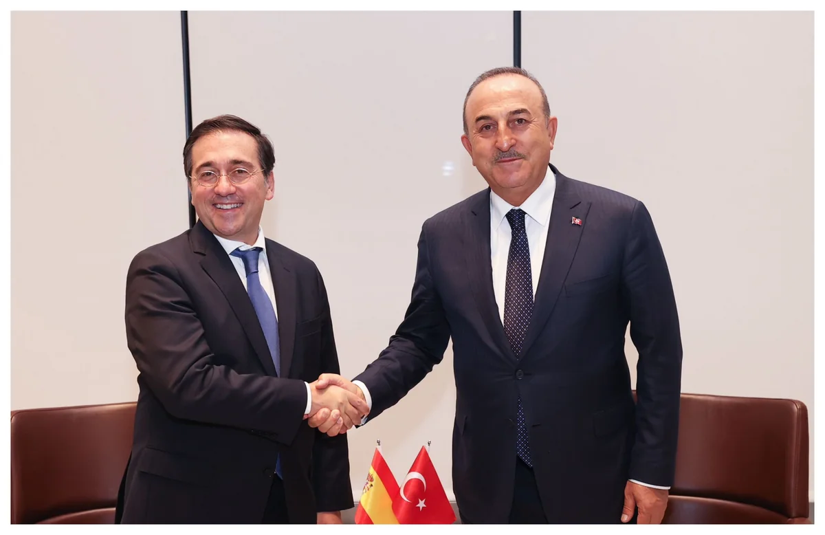 Turkish, Spanish FMs mull situation in Ukraine