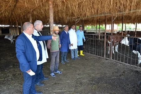 Saatlıda profilaktiki peyvəndlənmə, diaqnostiki müayinə, dezinfeksiya, dezinseksiya və müalicə tədbirləri davam etdirilir