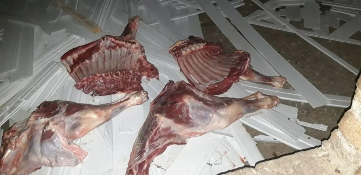 Ağcabədidə satış üçün hazırlanan ölmüş heyvan cəmdəyi aşkarlanıb