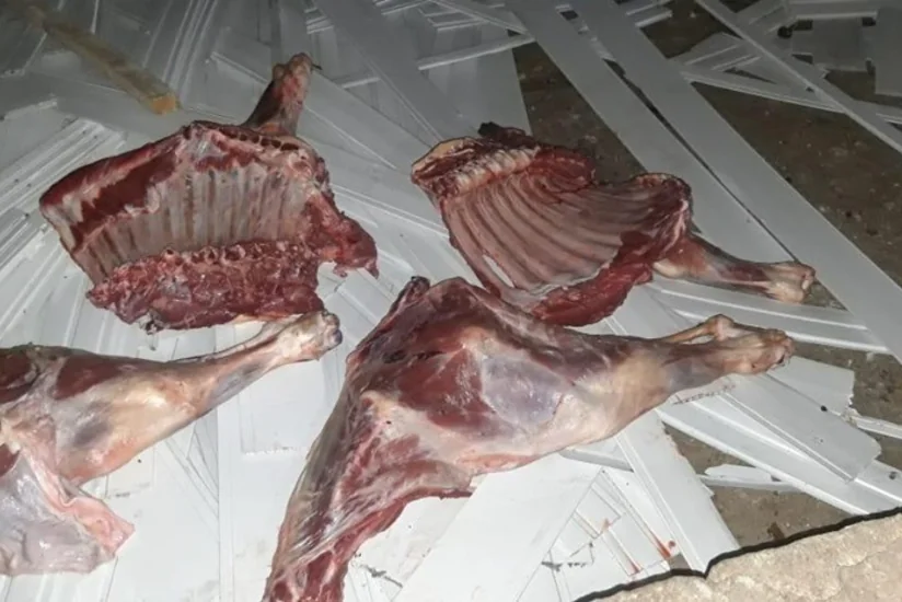 Ağcabədidə satış üçün hazırlanan ölmüş heyvan cəmdəyi aşkarlanıb