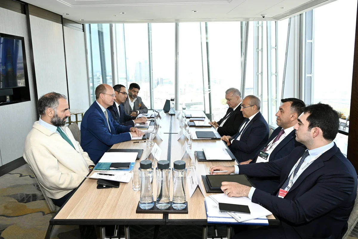 Mikayil Jabbarov, Oliver Wyman Group official mull increasing export potential