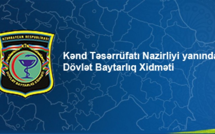 Dövlət Baytarlıq Nəzarəti Xidməti yeni tenderlər elan edib