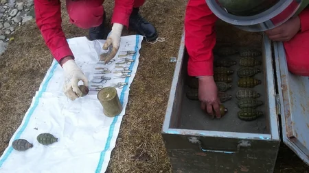 Daşkəsəndə əl qumbaraları tapılıb