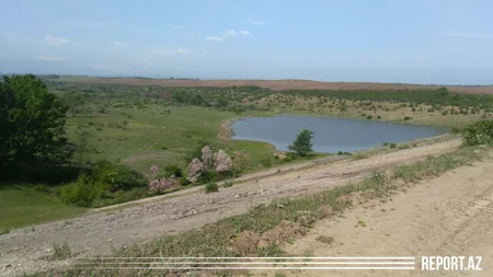 Azərbaycanda ikinci ağıllı bağ salınır