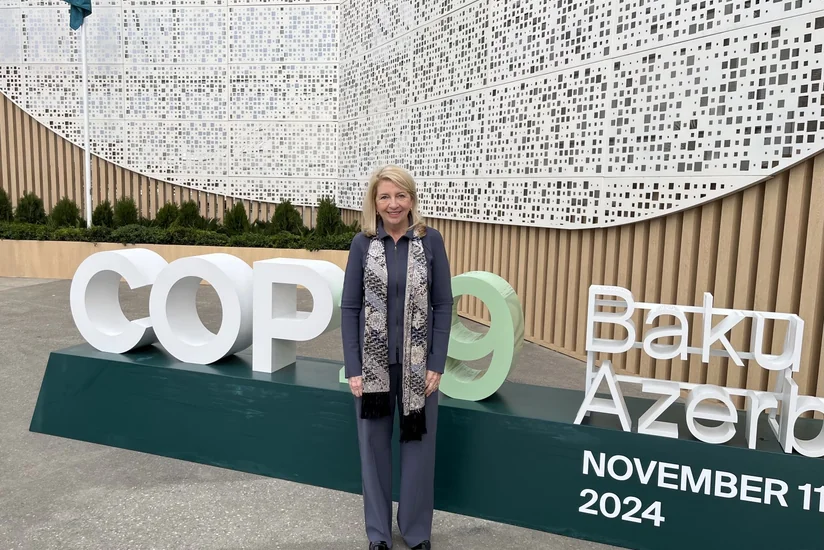 UNICEF chief: 'I'm at COP29 to advocate for urgent climate action'