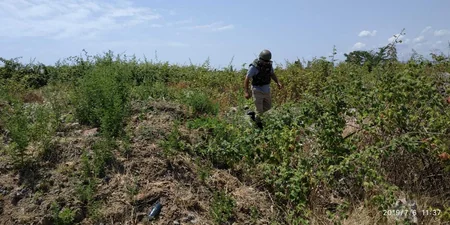 Lənkəranda dəniz sahilindən 5 ədəd mina tapılıb