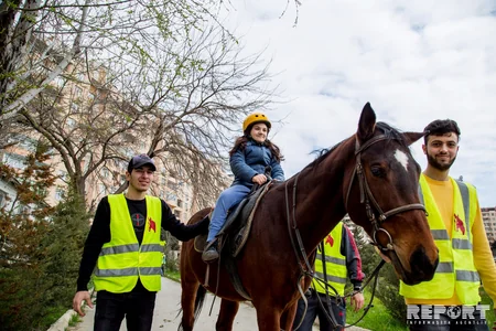 Atların müalicə etdiyi insanlar - REPORTAJ