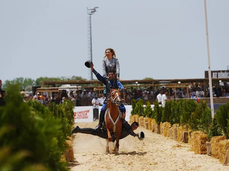 Turkish President watches performance featuring Karabakh horses