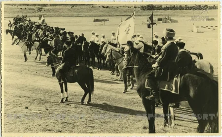 Qarabağ atları və Gürcüstan - ARAŞDIRMA - VİDEO